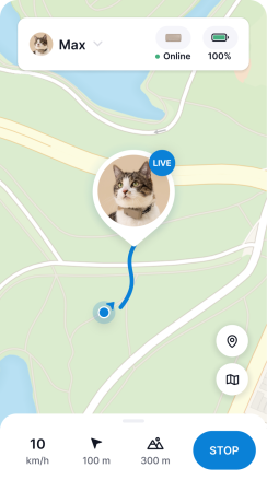 Katte