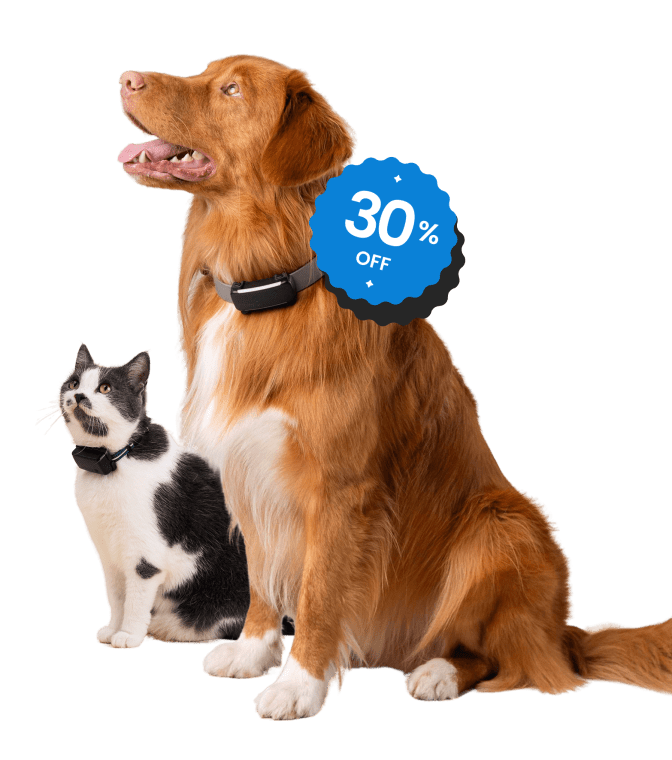 首輪・ハーネス・リード Tractive GPS Tracker for Dogs TRACTIVE Smart Dog GPS Tracker with Vital Signs Monitoring, Dog