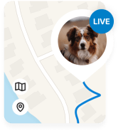 Tractive app screen in LIVE tracking mode
