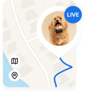 GPS tracking