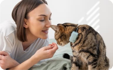 Katt som ligger på en soffa