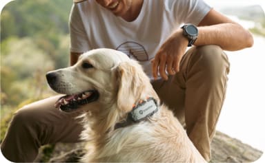Un chien avec un GPS Tractive XL