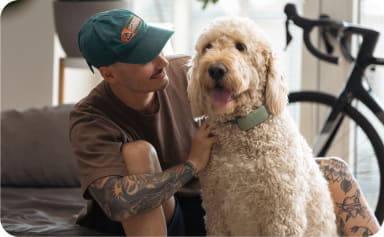 Hund med Tractive XL-tracker