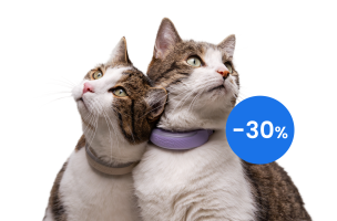 Cat with Tractive Cat Mini tracker in mint showing tongue