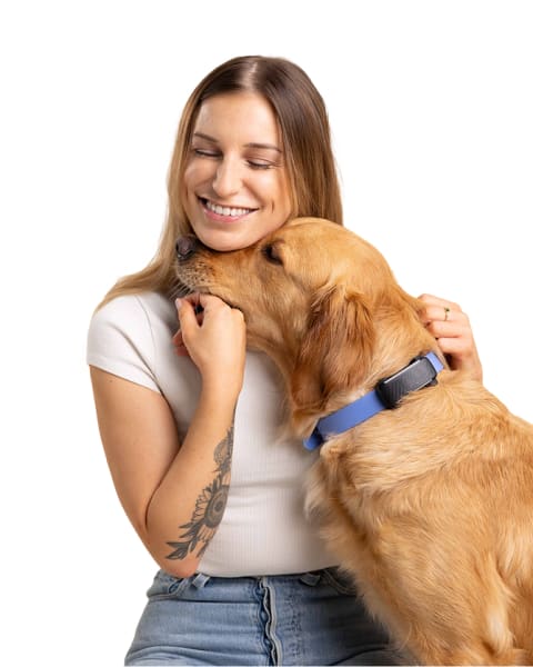 Dog picture