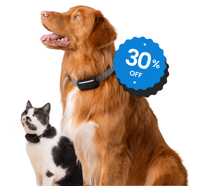 Traceur GPS Pour Chat/Chien - Étui IP67, Collier Inclus - Suivi En Temps Réel Via Appli - Pile CR2032