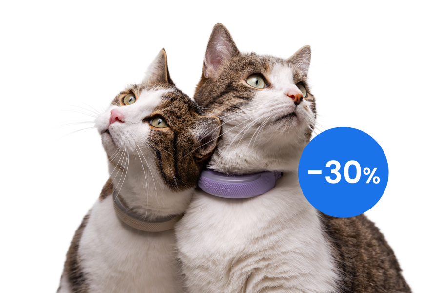 Cat with Tractive Cat Mini tracker in mint showing tongue