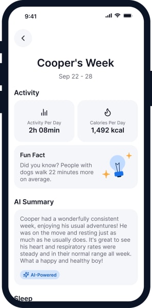 AI health summary