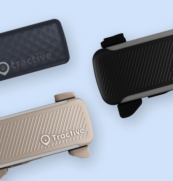 about-page.cards.3.title