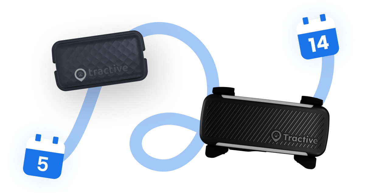 TRACKER FÜR KATZEN UND HUNDE