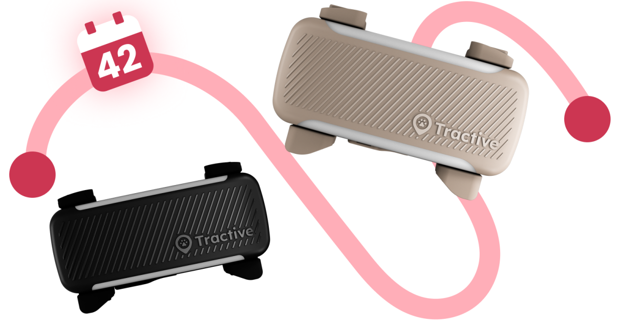 Traceurs Tractive DOG 6 et DOG XL