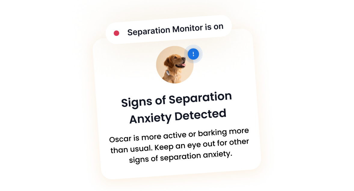 SEPARASJONSANGST-MONITOR
