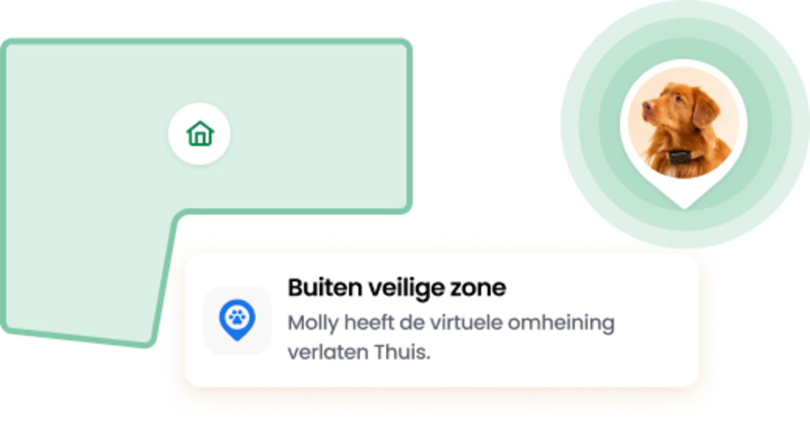 De functie Virtuele omheining
