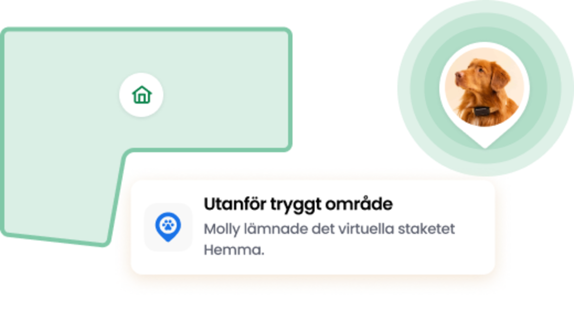 Virtual fence feature