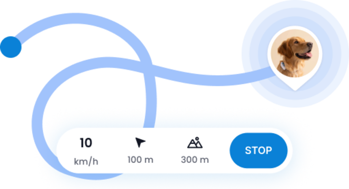 Live tracking feature
