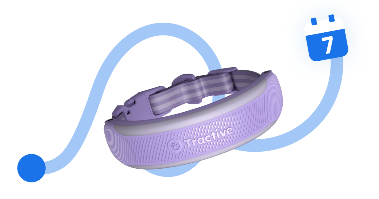 CAT 6 Mini Tracker