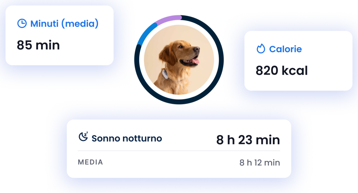 MONITORAGGIO DELL'ATTIVITÀ E DEL SONNO