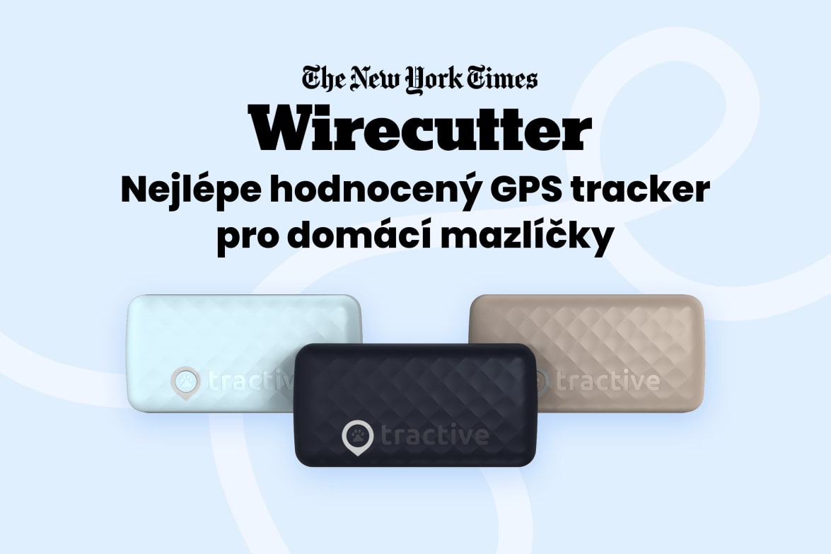 Tractive DOG 6 - Black labeled as #1 rated GPS pet tracker by Wirecutter, shown in multiple colors.