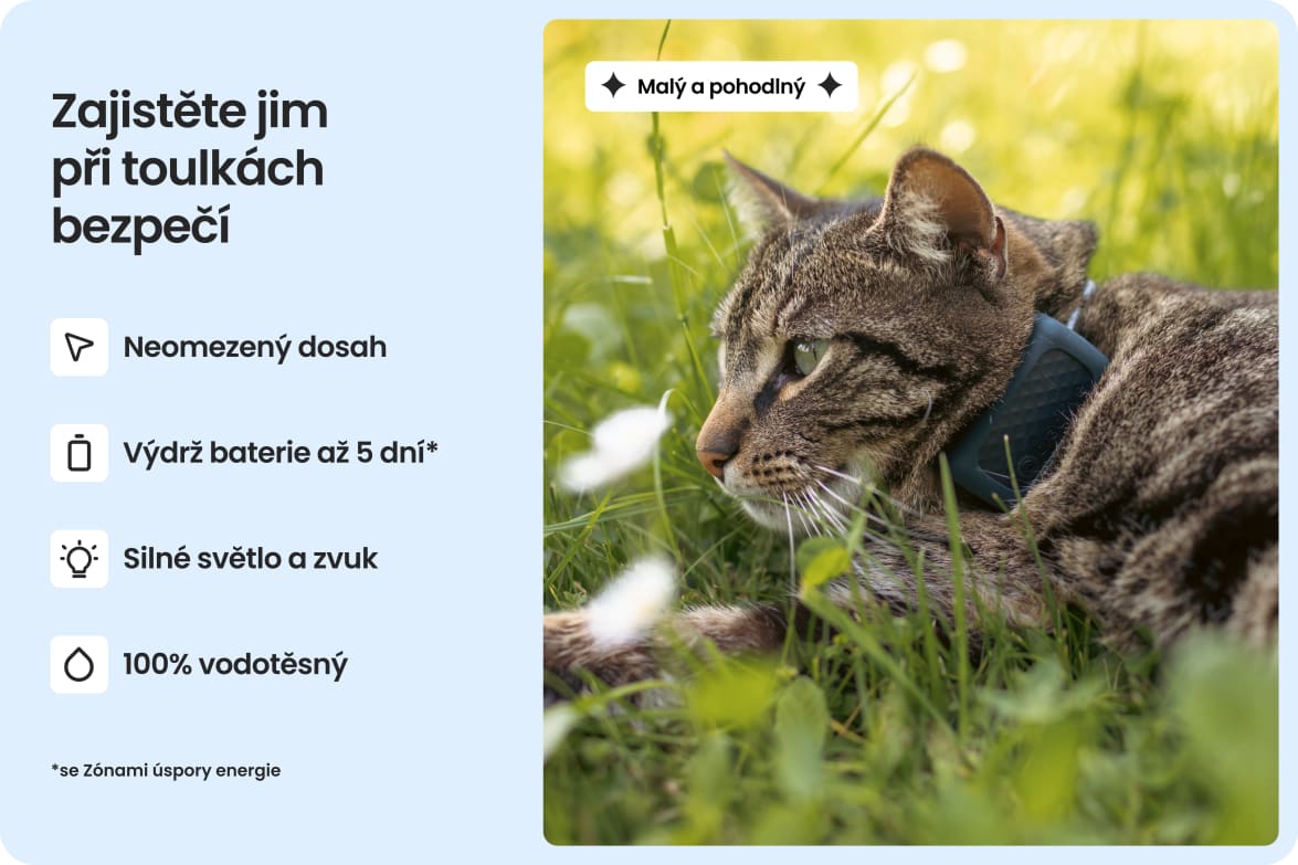 Cat wearing Tractive CAT Mini tracker, highlighting waterproof design, long battery life, and strong light and sound.