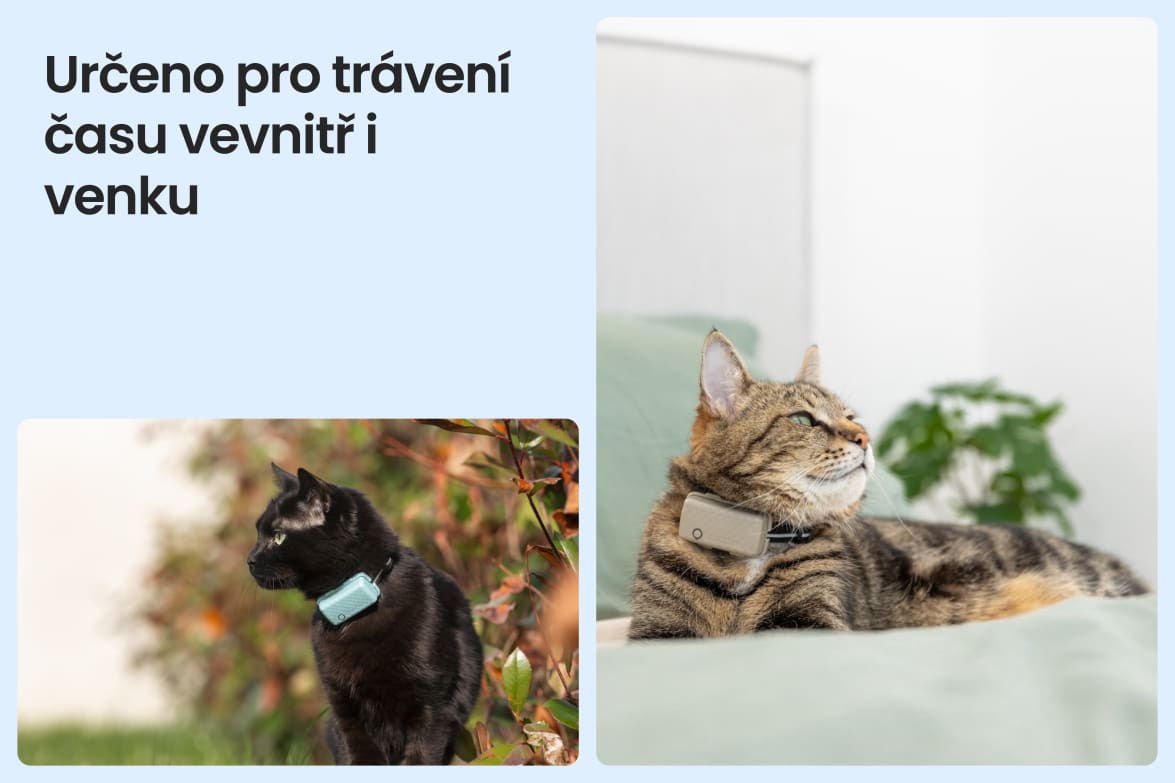 Tractive CAT Mini shown on indoor and outdoor cats, demonstrating versatility for all lifestyles.