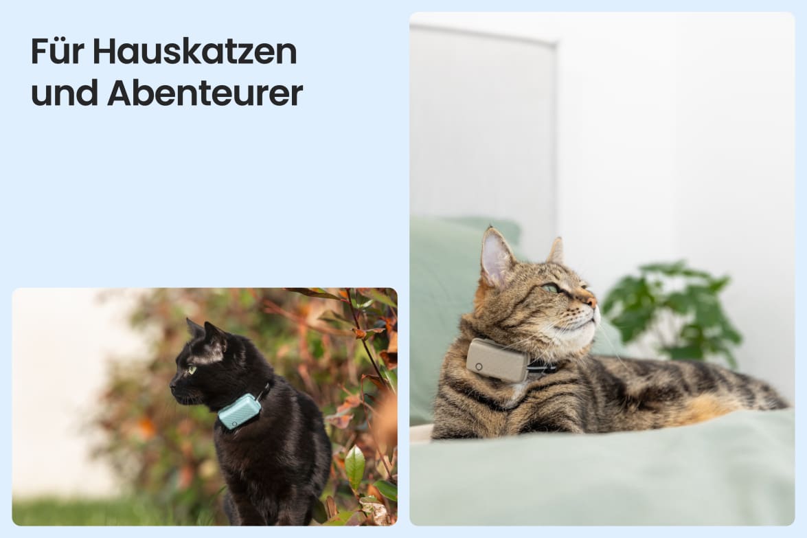 Tractive CAT Mini shown on indoor and outdoor cats, demonstrating versatility for all lifestyles.