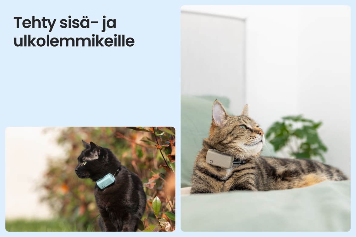 Tractive CAT Mini shown on indoor and outdoor cats, demonstrating versatility for all lifestyles.