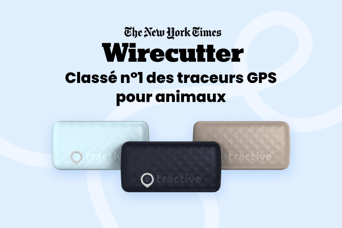 Tractive DOG 6 - Black labeled as #1 rated GPS pet tracker by Wirecutter, shown in multiple colors.