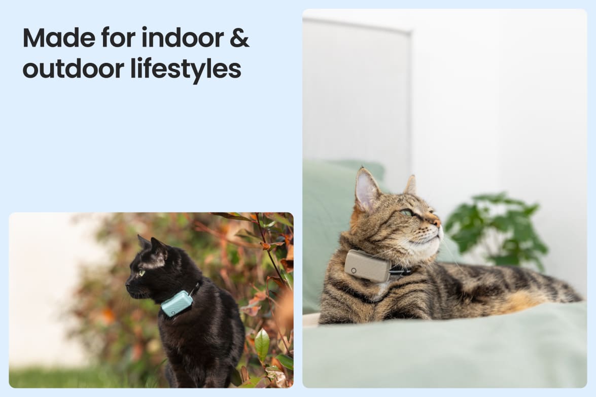 Tractive CAT Mini shown on indoor and outdoor cats, demonstrating versatility for all lifestyles.