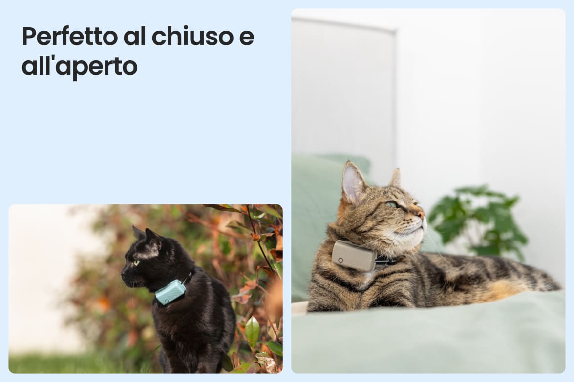 Tractive CAT Mini shown on indoor and outdoor cats, demonstrating versatility for all lifestyles.