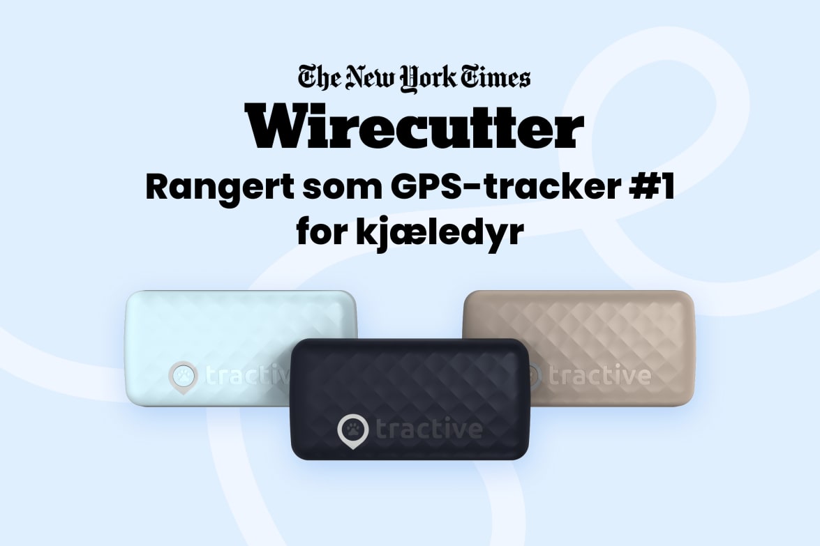 Tractive DOG 6 - Black labeled as #1 rated GPS pet tracker by Wirecutter, shown in multiple colors.