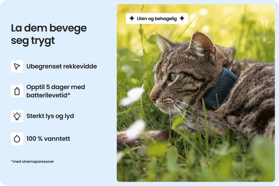 Cat wearing Tractive CAT Mini tracker, highlighting waterproof design, long battery life, and strong light and sound.