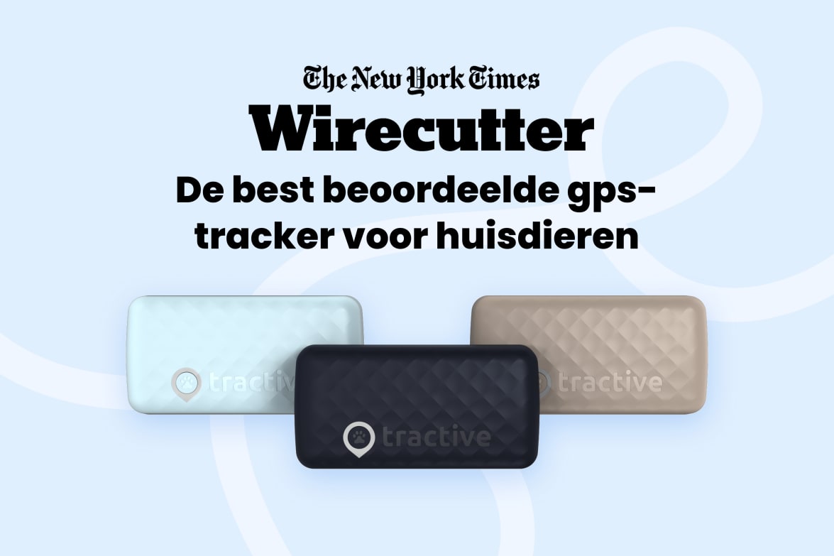 Tractive DOG 6 - Black labeled as #1 rated GPS pet tracker by Wirecutter, shown in multiple colors.