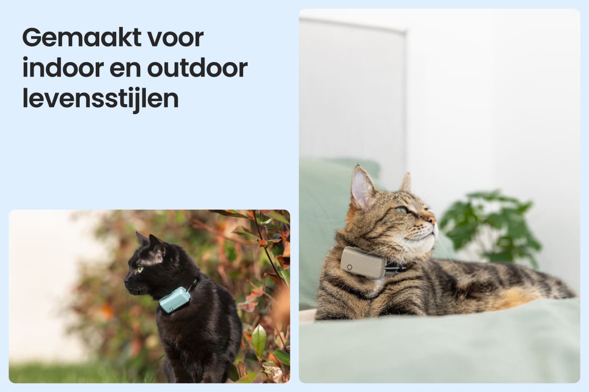 Tractive CAT Mini shown on indoor and outdoor cats, demonstrating versatility for all lifestyles.