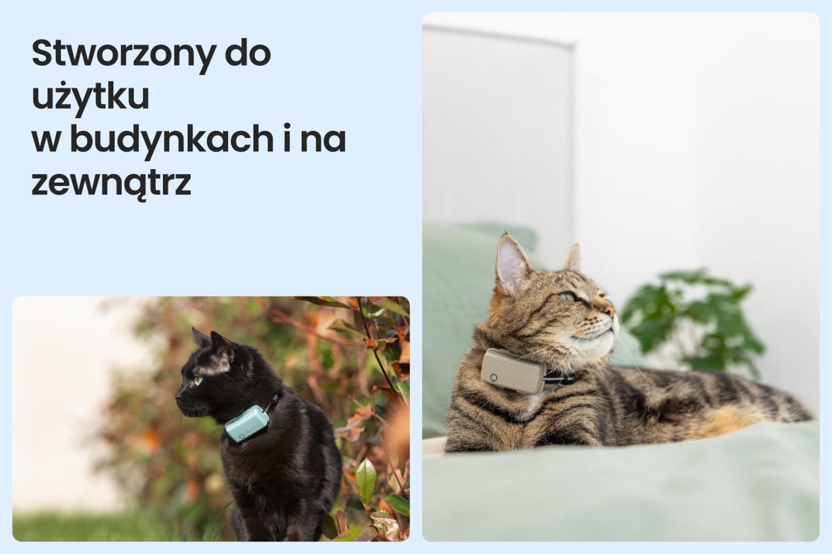 Tractive CAT Mini shown on indoor and outdoor cats, demonstrating versatility for all lifestyles.