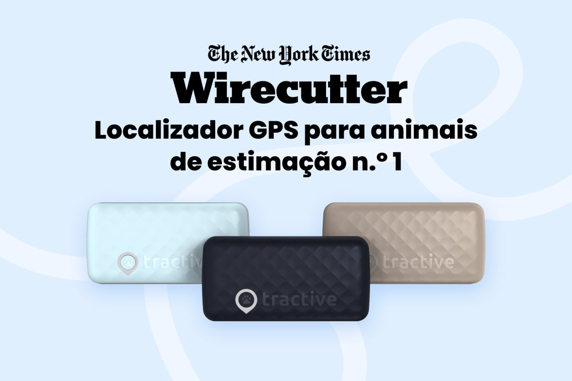 Tractive DOG 6 - Black labeled as #1 rated GPS pet tracker by Wirecutter, shown in multiple colors.