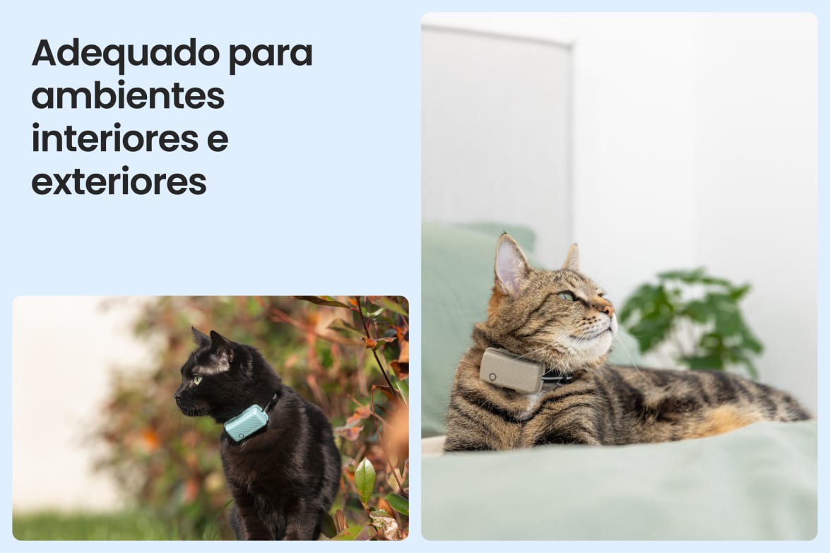 Tractive CAT Mini shown on indoor and outdoor cats, demonstrating versatility for all lifestyles.