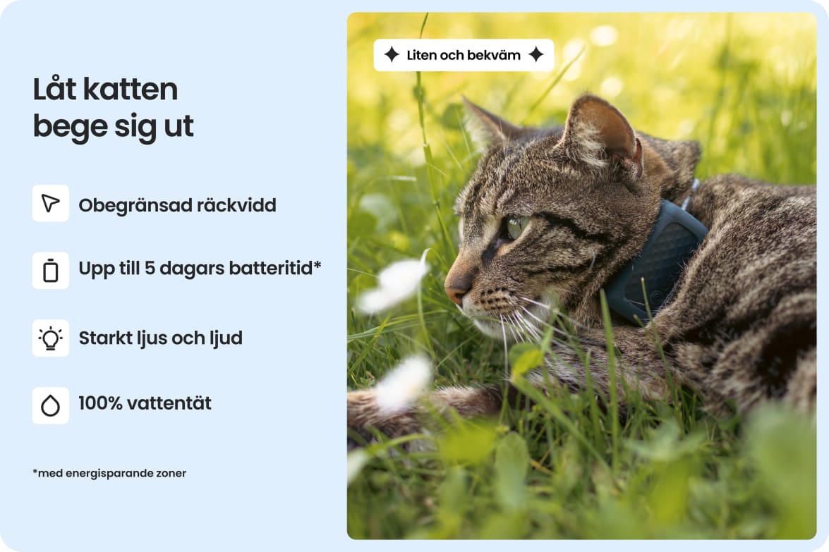 Cat wearing Tractive CAT Mini tracker, highlighting waterproof design, long battery life, and strong light and sound.