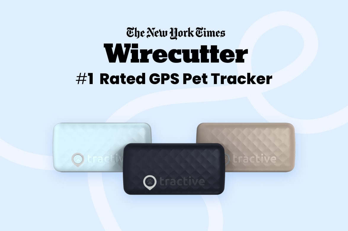 Tractive DOG 6 - Black labeled as #1 rated GPS pet tracker by Wirecutter, shown in multiple colors.