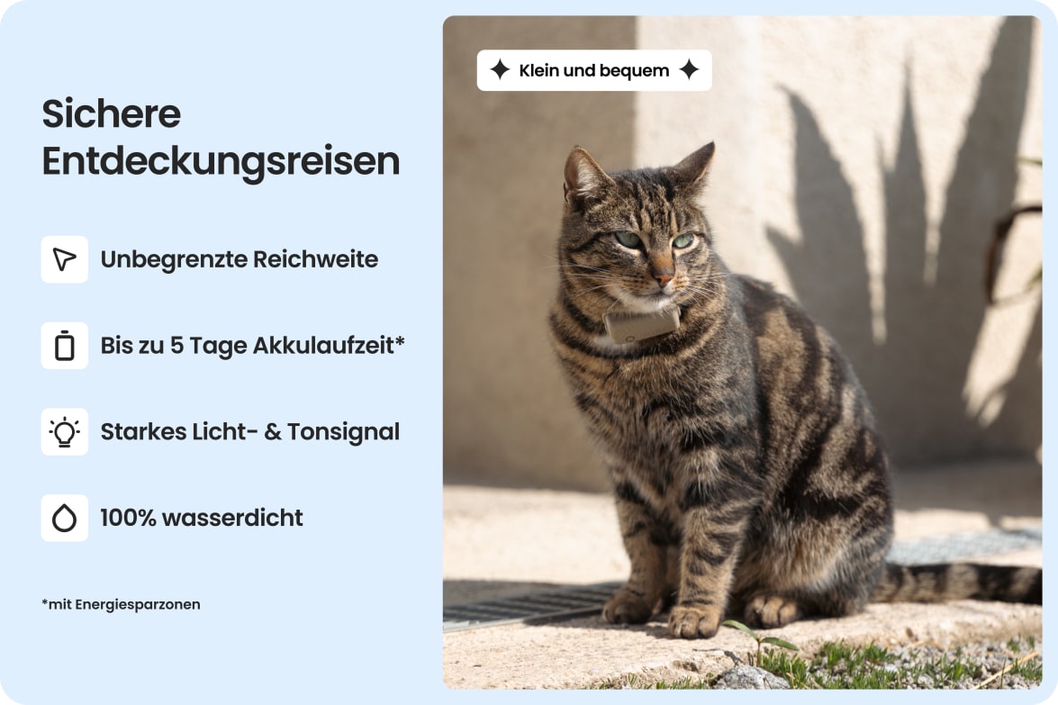 Cat wearing Tractive CAT Mini tracker, highlighting waterproof design, long battery life, and strong light and sound.