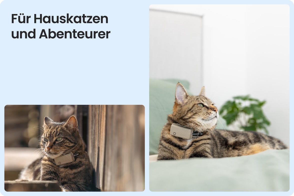 Tractive CAT Mini shown on indoor and outdoor cats, demonstrating versatility for all lifestyles.