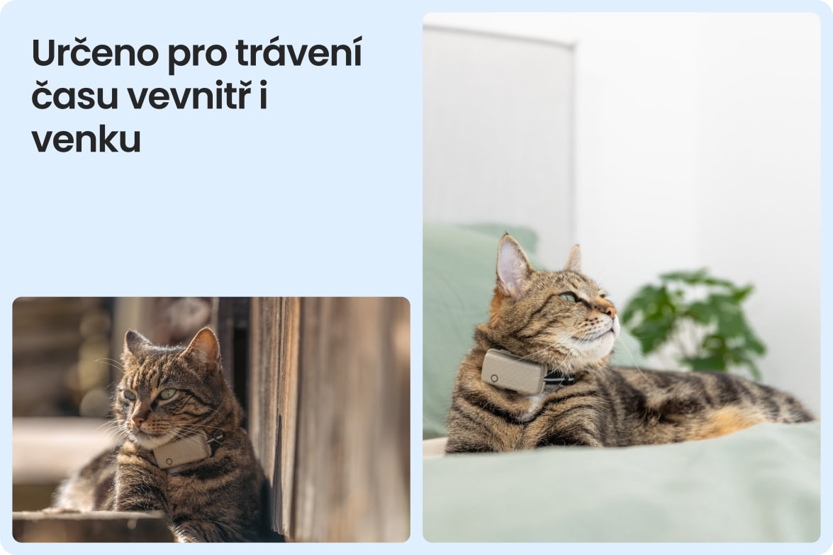 Tractive CAT Mini shown on indoor and outdoor cats, demonstrating versatility for all lifestyles.