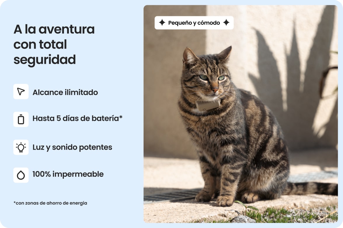 Cat wearing Tractive CAT Mini tracker, highlighting waterproof design, long battery life, and strong light and sound.