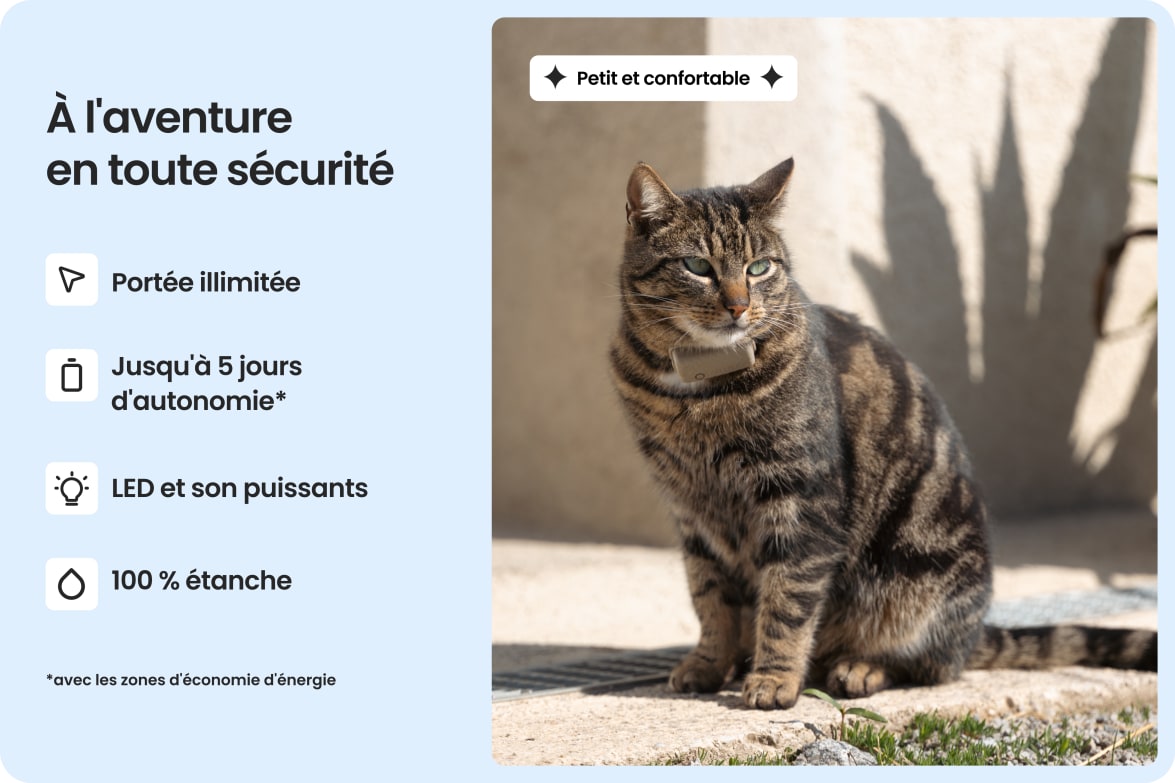 Cat wearing Tractive CAT Mini tracker, highlighting waterproof design, long battery life, and strong light and sound.