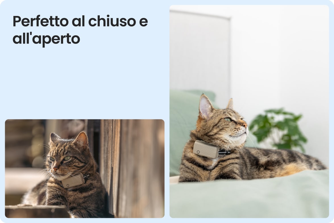 Tractive CAT Mini shown on indoor and outdoor cats, demonstrating versatility for all lifestyles.