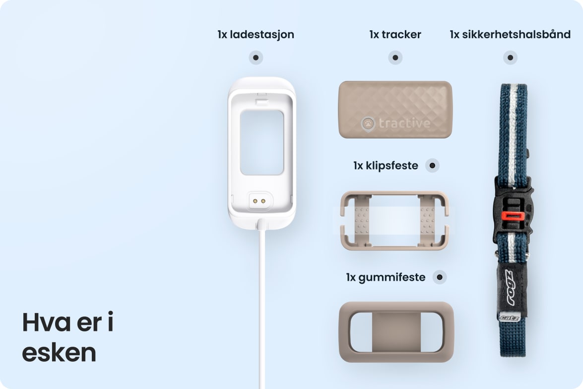 Box contents for Tractive CAT Mini including tracker, charging station, collar, and mounting accessories.
