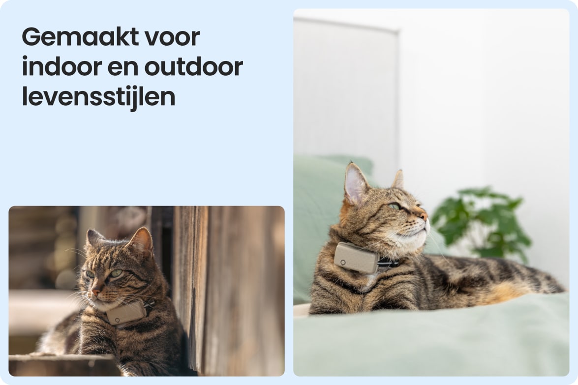 Tractive CAT Mini shown on indoor and outdoor cats, demonstrating versatility for all lifestyles.