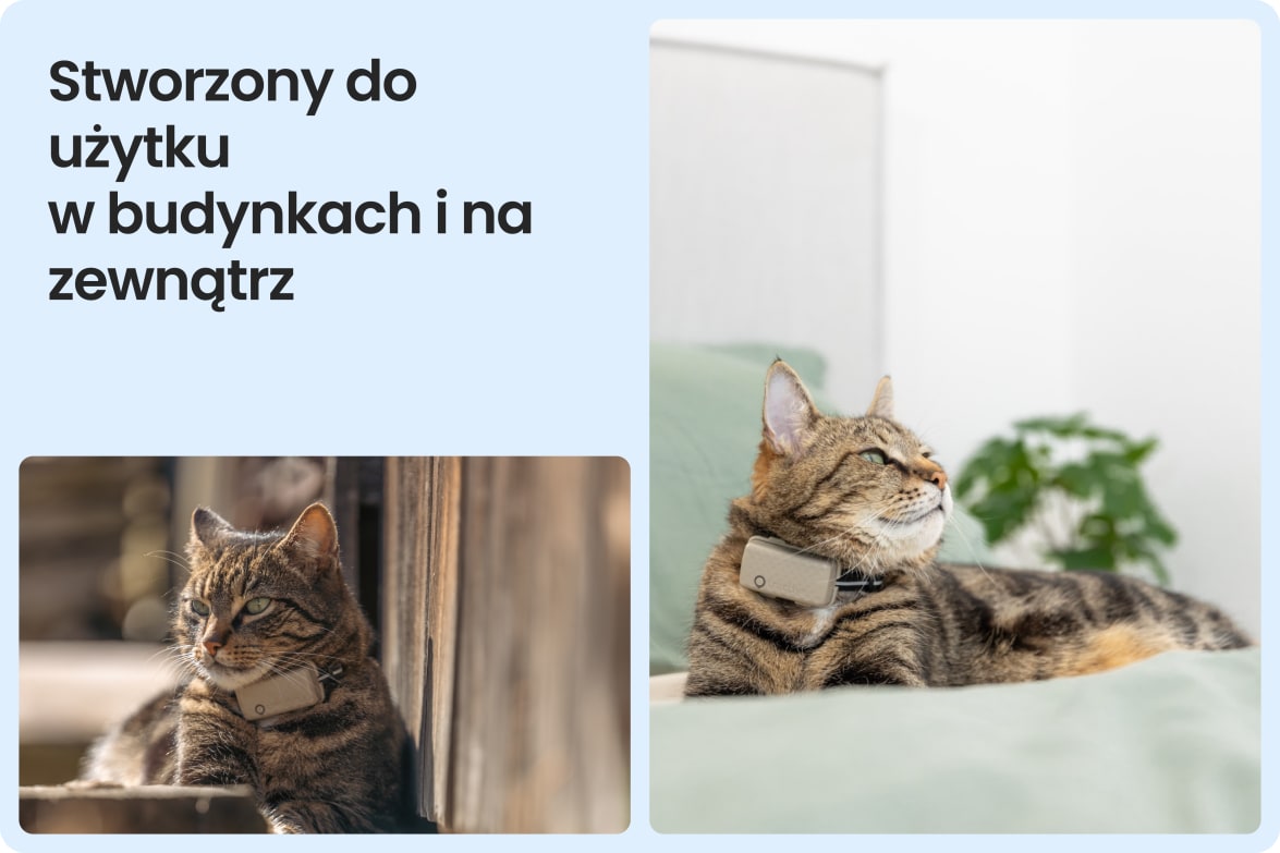 Tractive CAT Mini shown on indoor and outdoor cats, demonstrating versatility for all lifestyles.