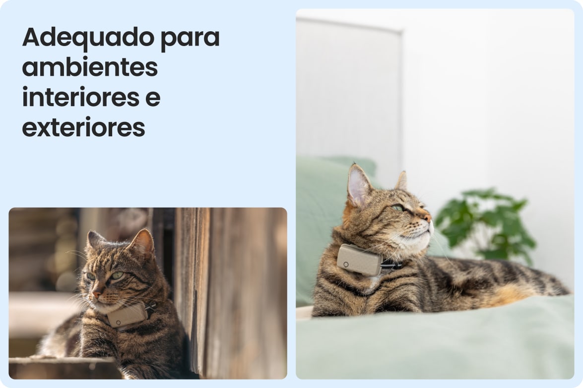 Tractive CAT Mini shown on indoor and outdoor cats, demonstrating versatility for all lifestyles.