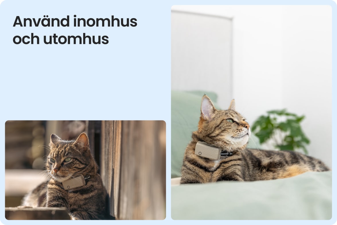 Tractive CAT Mini shown on indoor and outdoor cats, demonstrating versatility for all lifestyles.