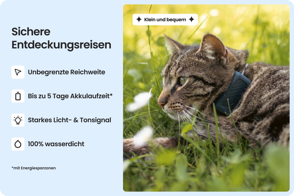 Cat wearing Tractive CAT Mini tracker, highlighting waterproof design, long battery life, and strong light and sound.